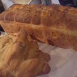 Pane al farro di zucca – Ricette di Gloria